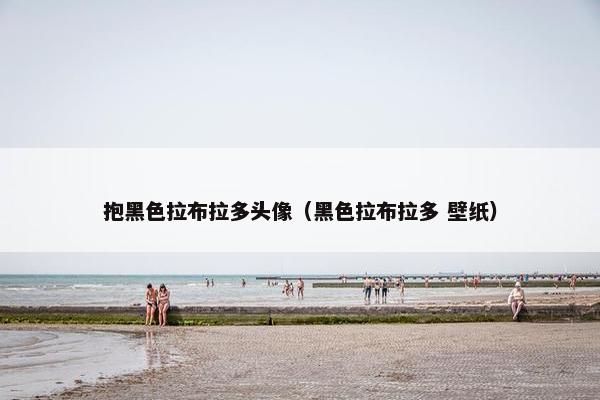抱黑色拉布拉多头像（黑色拉布拉多 壁纸）
