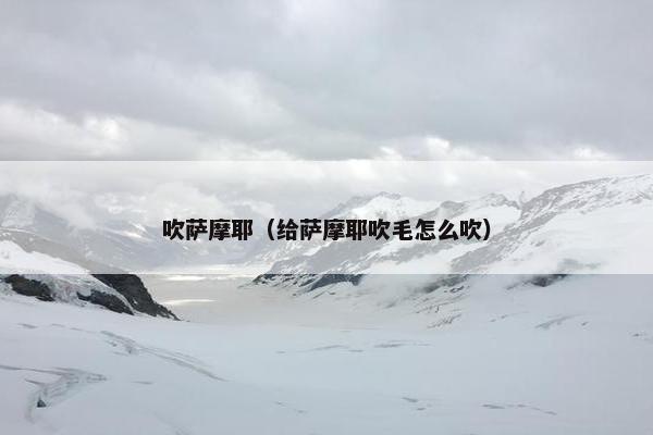 吹萨摩耶（给萨摩耶吹毛怎么吹）