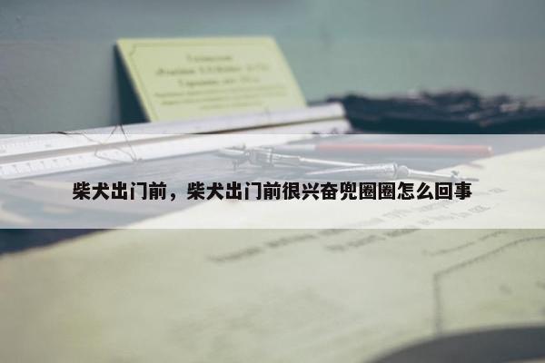 柴犬出门前，柴犬出门前很兴奋兜圈圈怎么回事