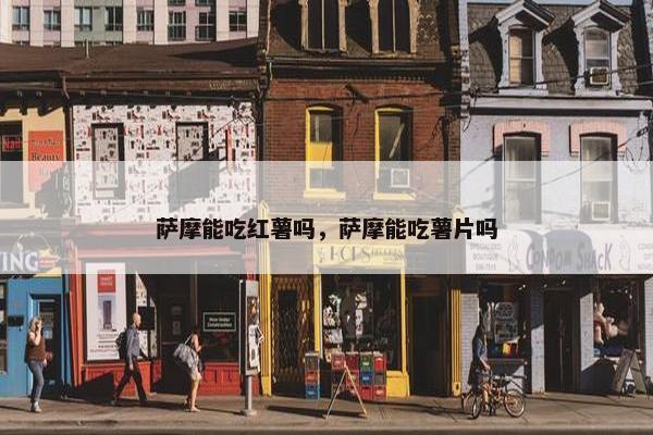 萨摩能吃红薯吗，萨摩能吃薯片吗