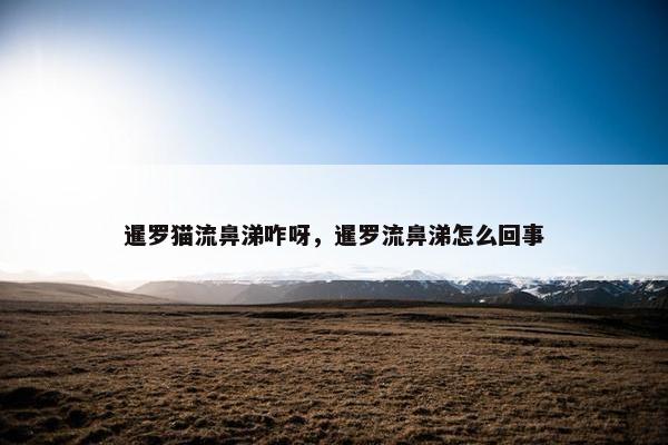 暹罗猫流鼻涕咋呀，暹罗流鼻涕怎么回事