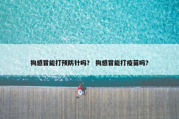 狗感冒能打预防针吗？ 狗感冒能打疫苗吗？