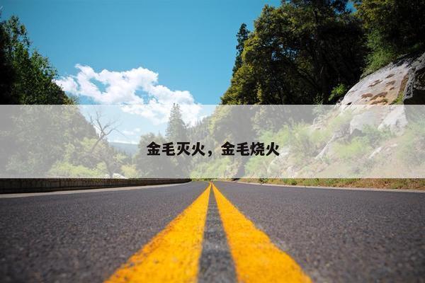 金毛灭火,金毛烧火 金毛灭火,金毛烧火