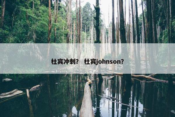 杜宾冲刺？ 杜宾johnson？