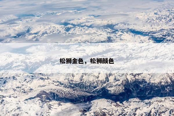 松狮金色，松狮颜色