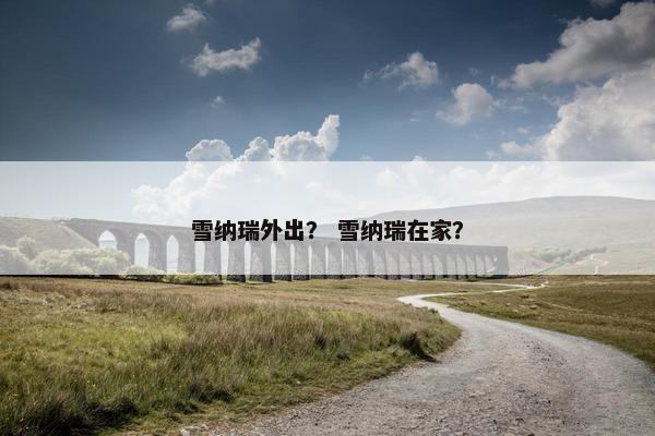 雪纳瑞外出? 雪纳瑞在家?