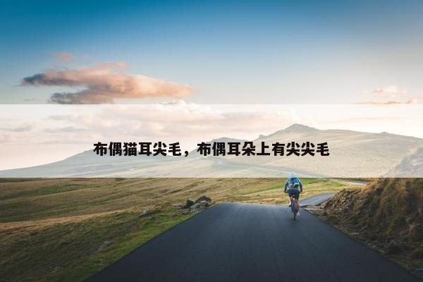 布偶猫耳尖毛，布偶耳朵上有尖尖毛