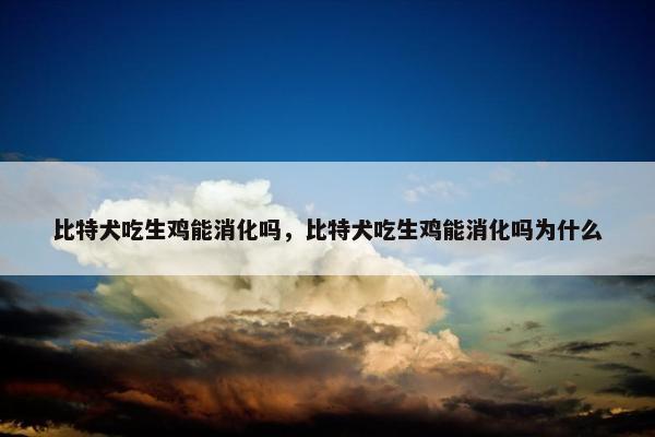 比特犬吃生鸡能消化吗,比特犬吃生鸡能消化吗为什么 比特犬吃生鸡能消化吗,比特犬吃生鸡能消化吗为什么