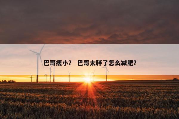 巴哥瘦小? 巴哥太胖了怎么减肥? 巴哥瘦小? 巴哥太胖了怎么减肥?