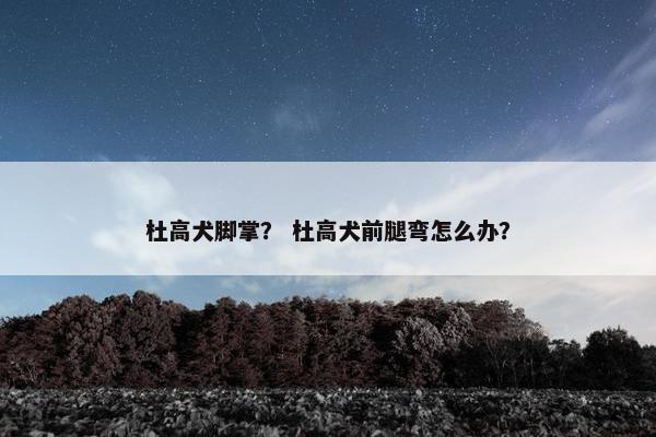 杜高犬脚掌? 杜高犬前腿弯怎么办? 杜高犬脚掌? 杜高犬前腿弯怎么办?