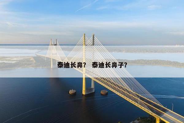 泰迪长鼻？ 泰迪长鼻子？