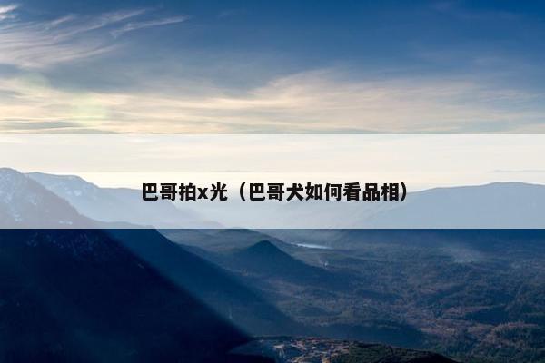 巴哥拍x光（巴哥犬如何看品相）