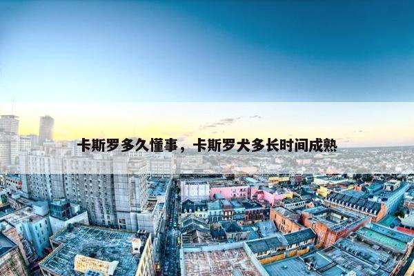 卡斯罗多久懂事，卡斯罗犬多长时间成熟