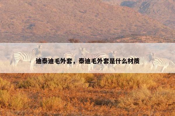 迪泰迪毛外套，泰迪毛外套是什么材质