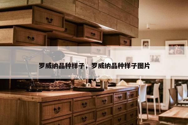 罗威纳品种样子,罗威纳品种样子图片 罗威纳品种样子,罗威纳品种样子图片