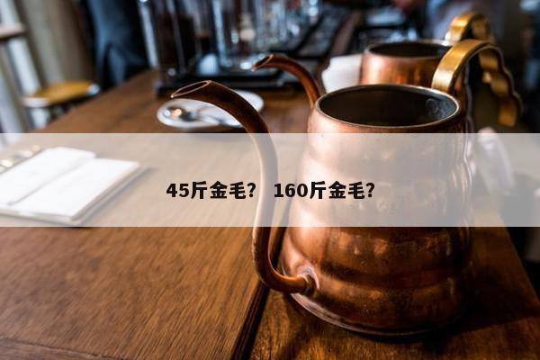 45斤金毛？ 160斤金毛？