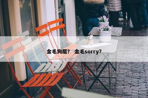 金毛狗屈? 金毛sorry?