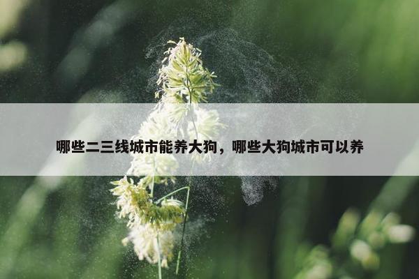 哪些二三线城市能养大狗，哪些大狗城市可以养