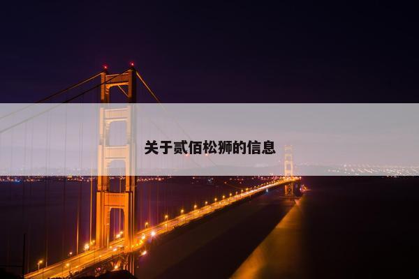 关于贰佰松狮的信息