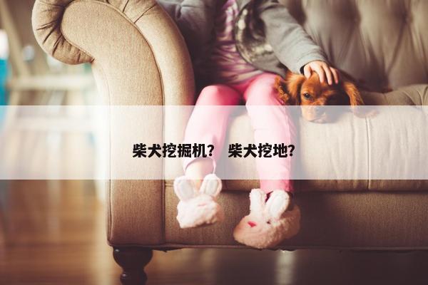 柴犬挖掘机? 柴犬挖地?