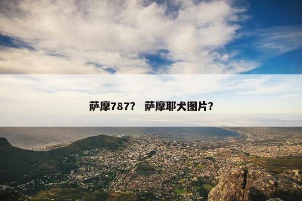 萨摩787？ 萨摩耶犬图片？