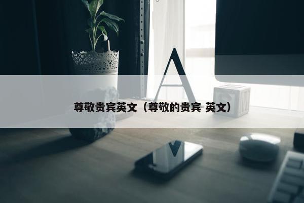 尊敬贵宾英文（尊敬的贵宾 英文）