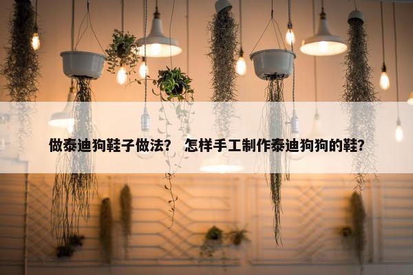 做泰迪狗鞋子做法? 怎样手工制作泰迪狗狗的鞋?