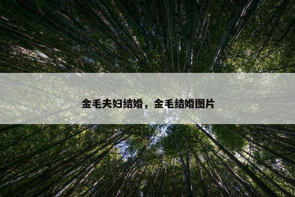 金毛夫妇结婚,金毛结婚图片 金毛夫妇结婚,金毛结婚图片