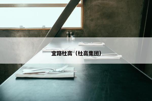 宜路杜高（杜高集团）