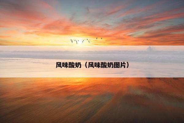 风味酸奶（风味酸奶图片）