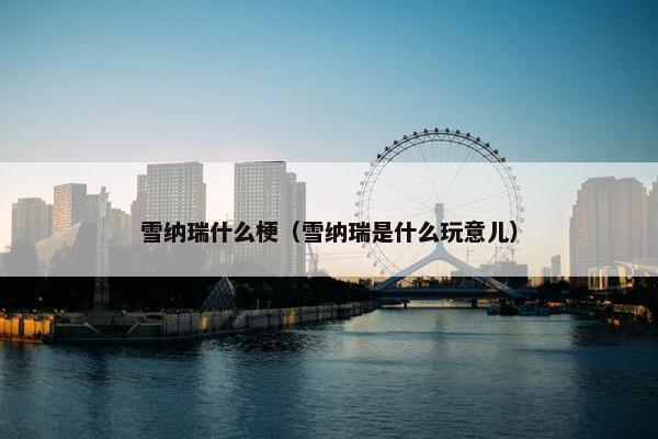 雪纳瑞什么梗（雪纳瑞是什么玩意儿）