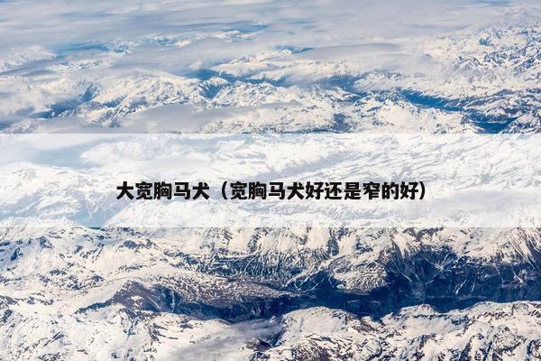 大宽胸马犬（宽胸马犬好还是窄的好）