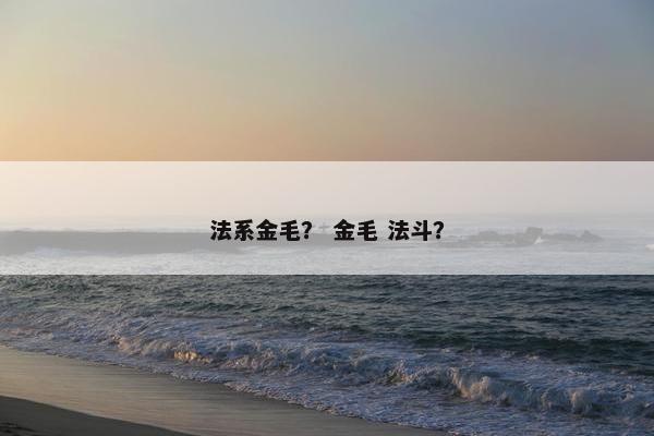法系金毛? 金毛 法斗?