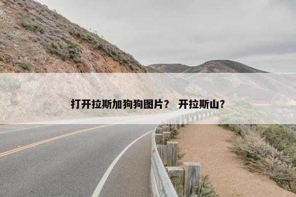打开拉斯加狗狗图片？ 开拉斯山？