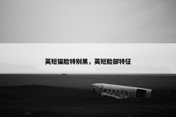 英短猫脸特别黑，英短脸部特征