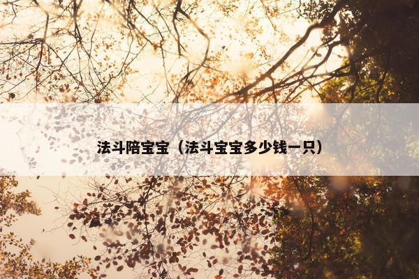 法斗陪宝宝（法斗宝宝多少钱一只）