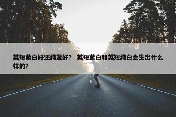 英短蓝白好还纯蓝好？ 英短蓝白和英短纯白会生出什么样的？