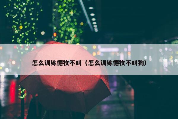 怎么训练德牧不叫（怎么训练德牧不叫狗）