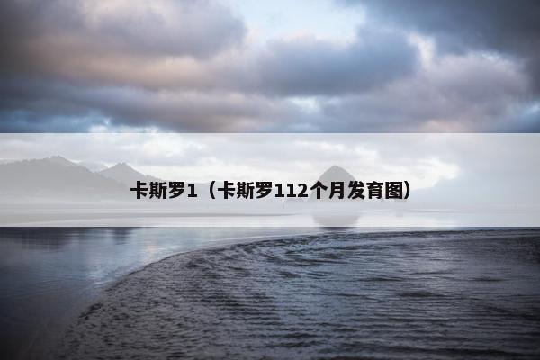 卡斯罗1（卡斯罗112个月发育图）