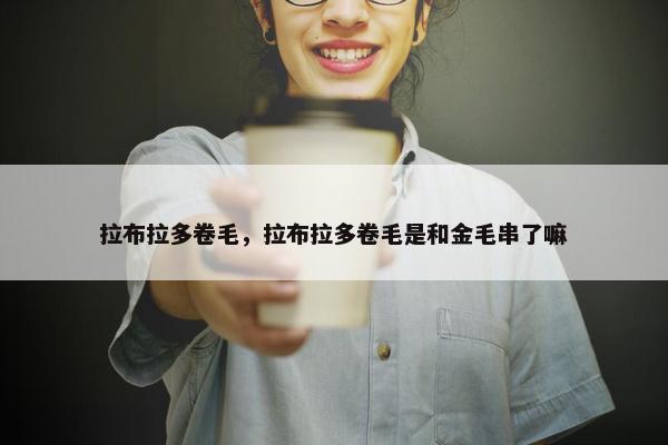 拉布拉多卷毛，拉布拉多卷毛是和金毛串了嘛
