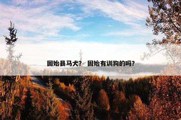 固始县马犬？ 固始有训狗的吗？