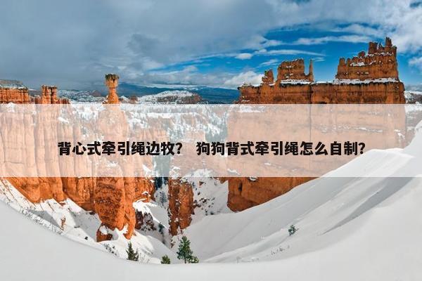 背心式牵引绳边牧？ 狗狗背式牵引绳怎么自制？