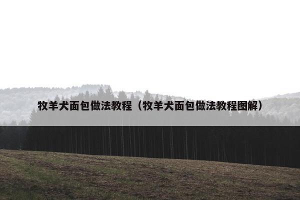 牧羊犬面包做法教程(牧羊犬面包做法教程图解) 牧羊犬面包做法教程(牧羊犬面包做法教程图解)