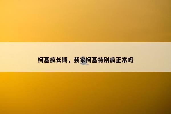 柯基疯长期，我家柯基特别疯正常吗