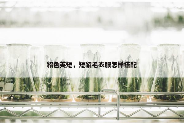 貂色英短，短貂毛衣服怎样搭配