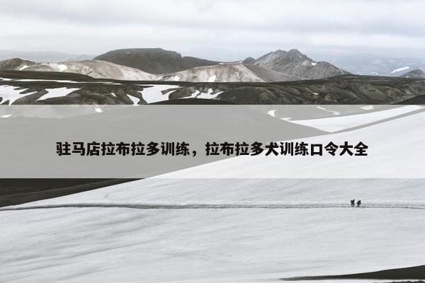 驻马店拉布拉多训练，拉布拉多犬训练口令大全