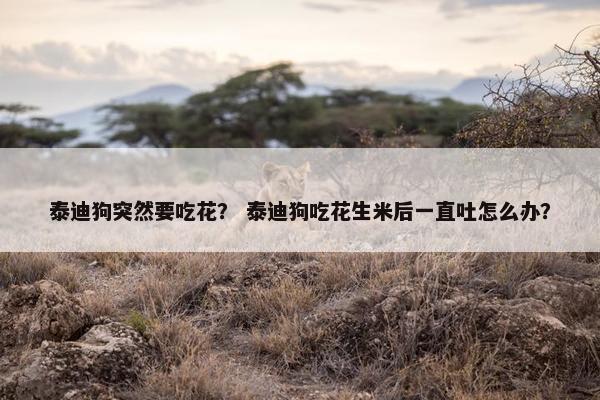 泰迪狗突然要吃花？ 泰迪狗吃花生米后一直吐怎么办？