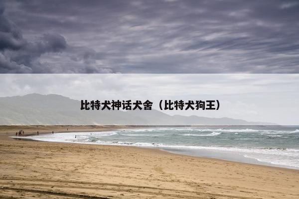 比特犬神话犬舍（比特犬狗王）