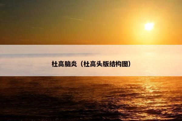 杜高脑炎（杜高头版结构图）