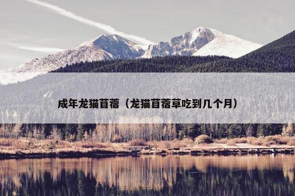 成年龙猫苜蓿（龙猫苜蓿草吃到几个月）